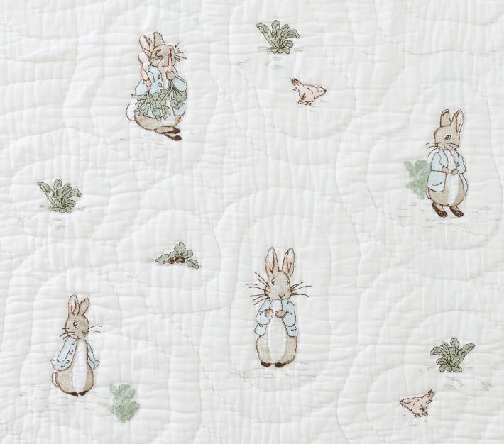 Beatrix Potter Peter Rabbit and the New Little One of the Animals Watching  Over the Baby/cross Stitch Quilt Kit by Bucilla/ 34x43/ NEW 