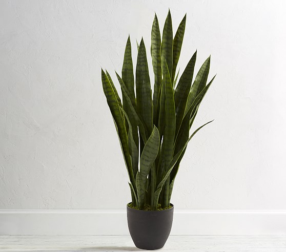 Sansevieria Artificial Plant | Pottery Barn Kids