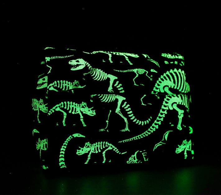 Mackenzie Navy Dino Bones Glow-in-the-Dark Lunch Boxes