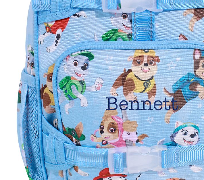 Paw Patrol Girls Backpack Skye Lunch bag, Pencil Case & Bottle 4 Piece Set