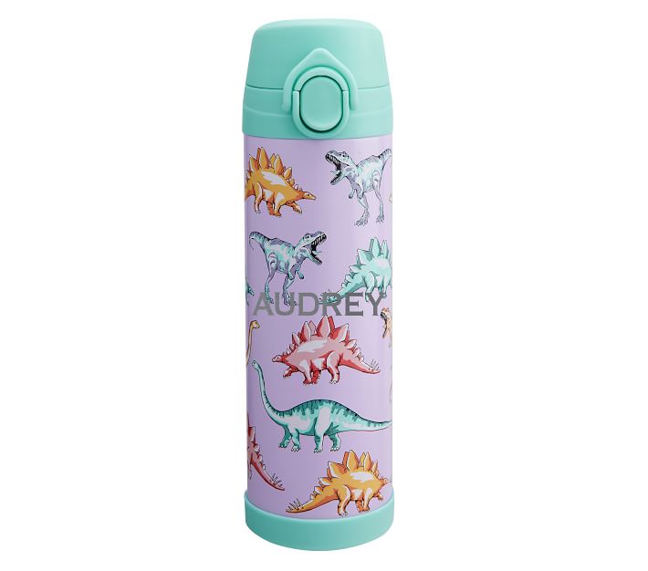 Mackenzie Blue Multicolor Dino Kids Water Bottles & Thermos