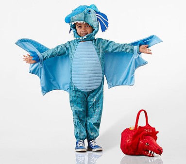 https://assets.pkimgs.com/pkimgs/ab/images/dp/wcm/202351/0022/toddler-blue-dragon-halloween-costume-m.jpg