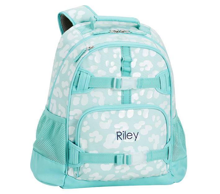 Cheetah Hearts Kids Backpacks and Lunch Box