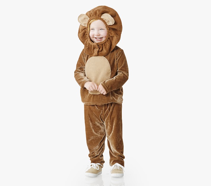 Toddler Lion Machine Washable Costume