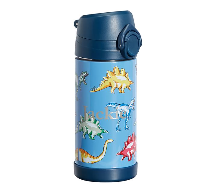 Mackenzie Blue Multicolor Dino Kids Water Bottles & Thermos