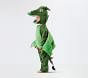 Kids Green Dragon Halloween Costume