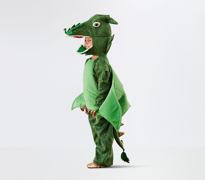 Kids Dragon Costume - Green