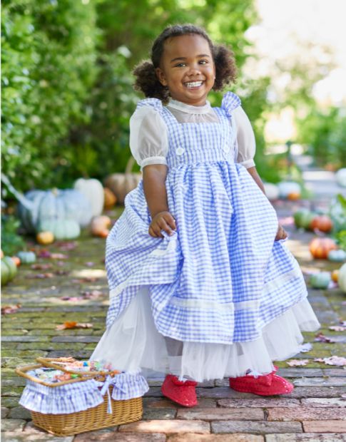 Pottery barn kids dress cheap up