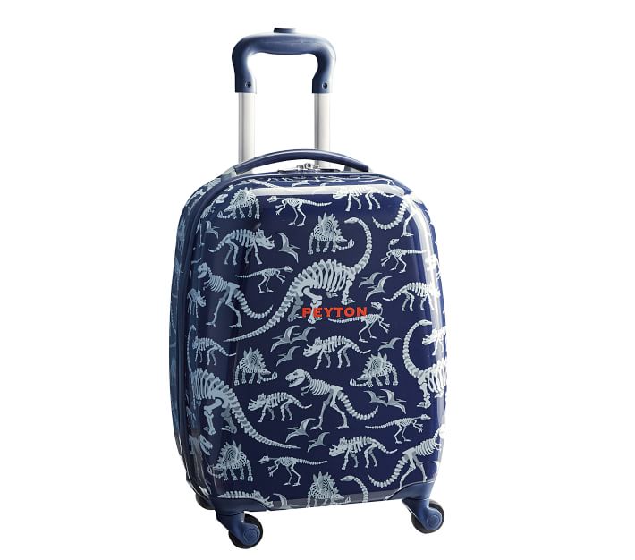 Dinosaur luggage online