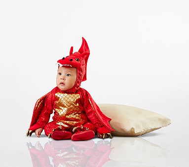 Baby boy deals dragon costume