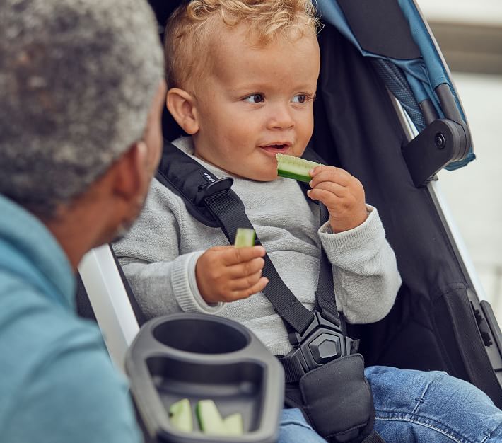 Thule Spring Snack Tray Pottery Barn Kids