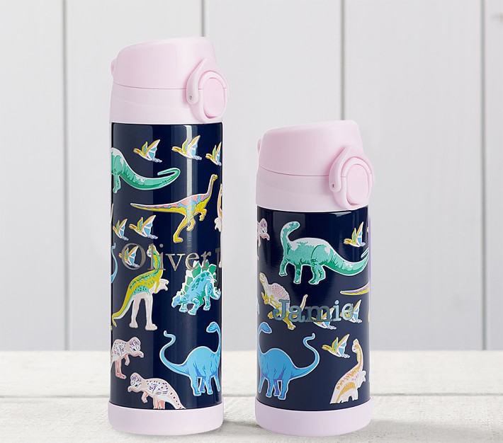 Mackenzie Pink Navy Glow-in-the-Dark Dinos Water Bottles