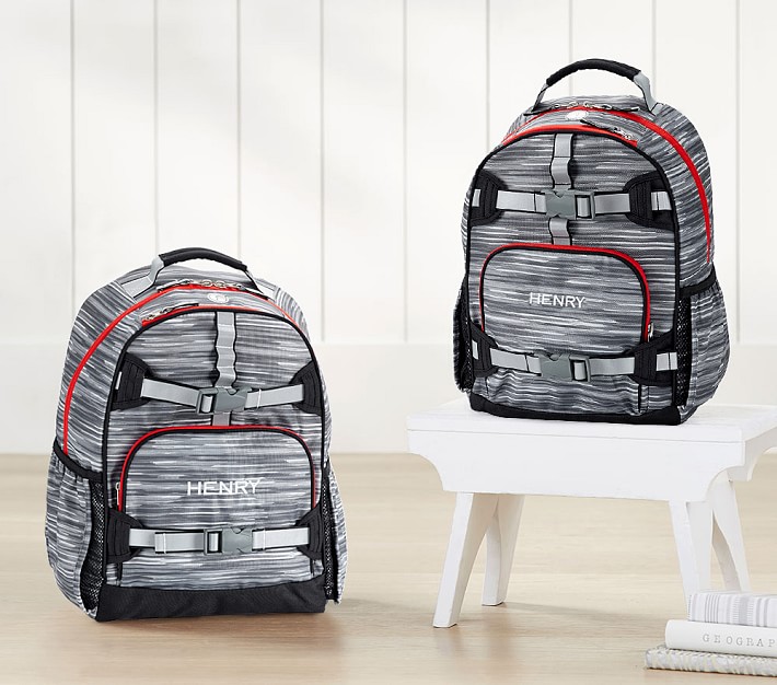 Mackenzie Abstract Stripe Backpack with Reflective Webbing