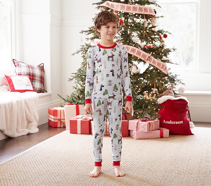 Holiday Dog Pajama Set
