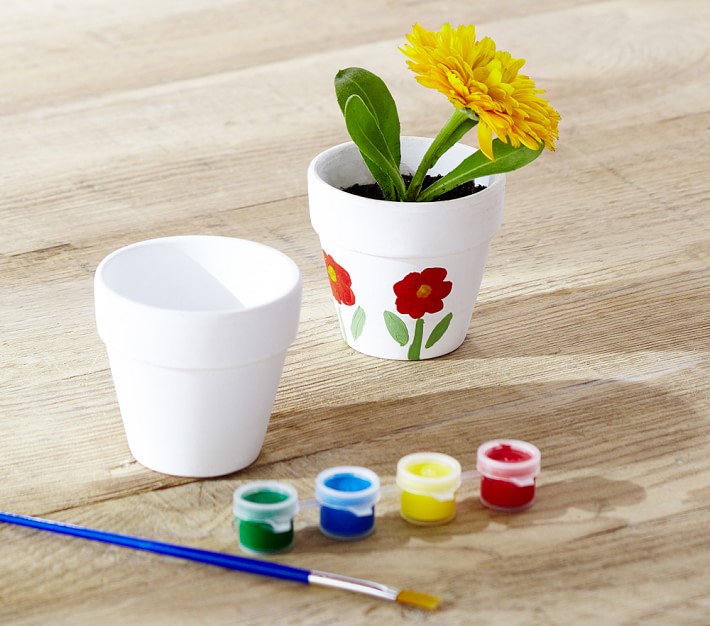Paint a Flower Pot Kit