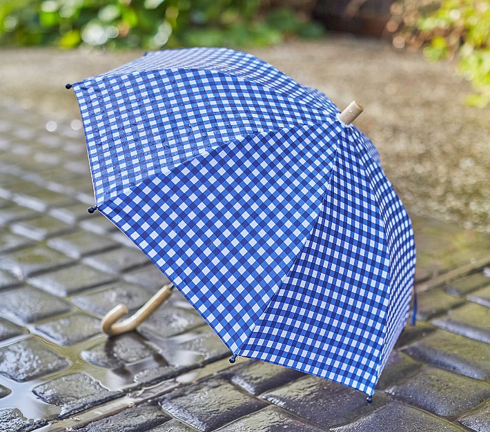 Hatley Navy/Orange Gingham Umbrella