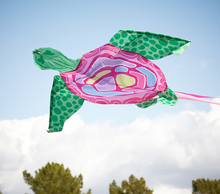 Pink Turtle Kite