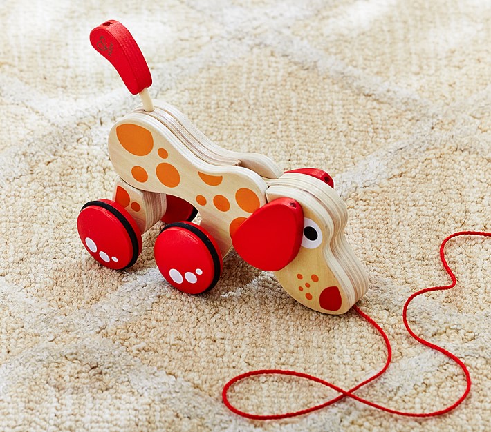 Doggy Pull Toy