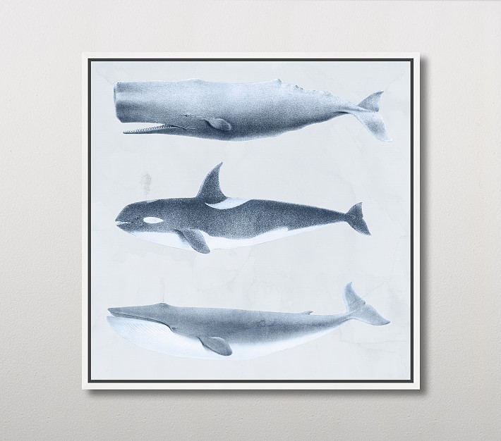 Whales Wall Art