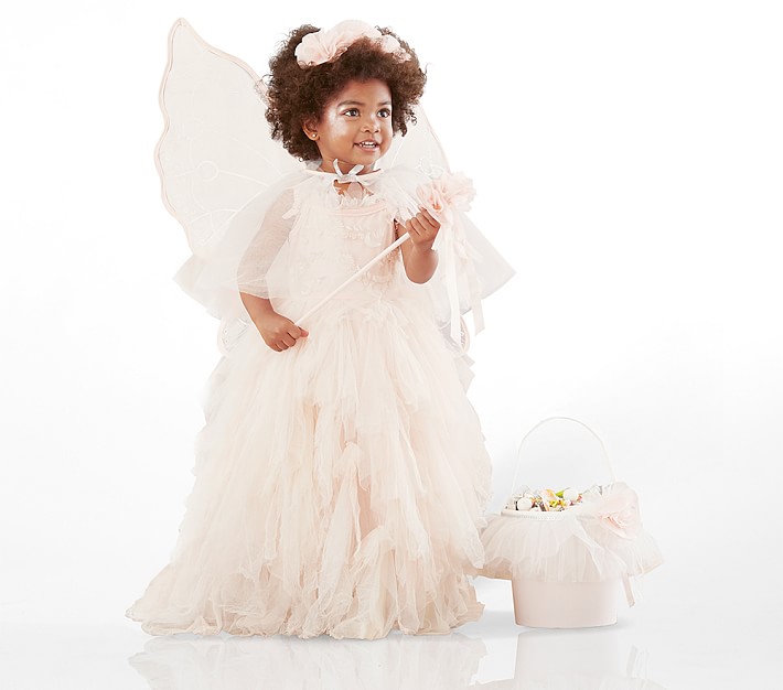 Toddler Monique Lhuillier Blush Fairy Halloween Costume Set
