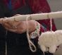 Video 2 for west elm x pbk Felted Sheep Mobile