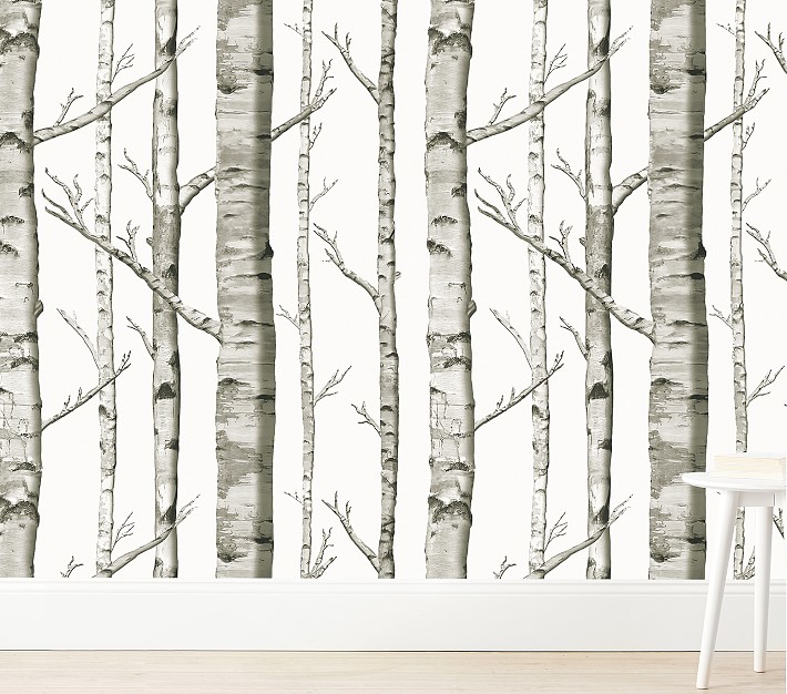 Wallpaperie Birch Forest Wallpaper