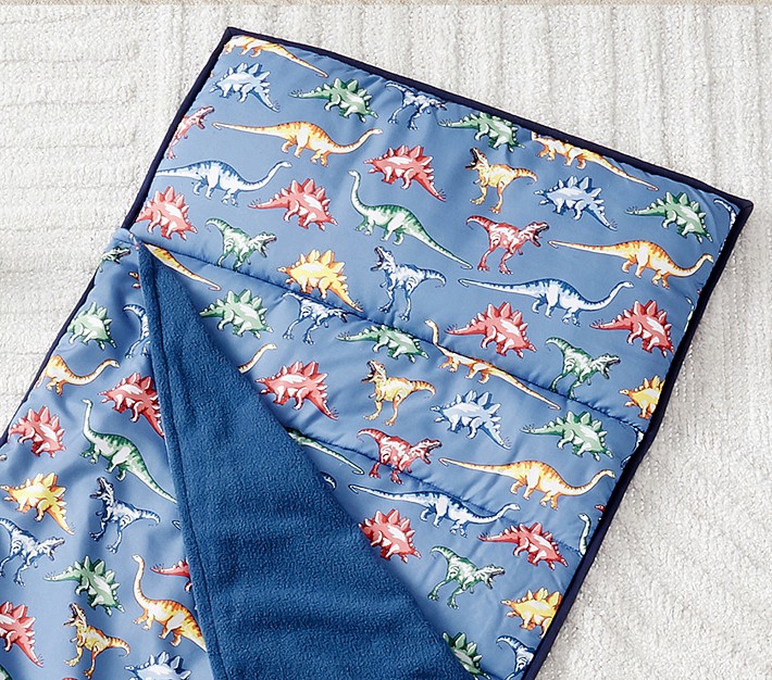 Mackenzie Blue Multi Dino Nap Mat Pottery Barn Kids