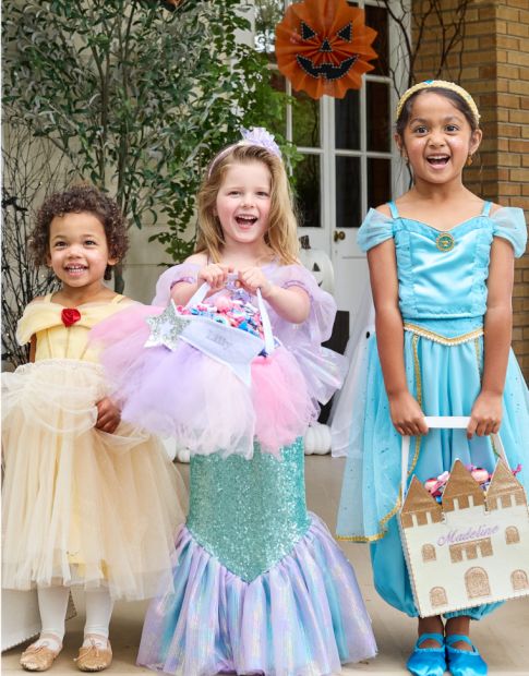 Elsa anna costume best sale