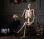 Mr. Bones Decor