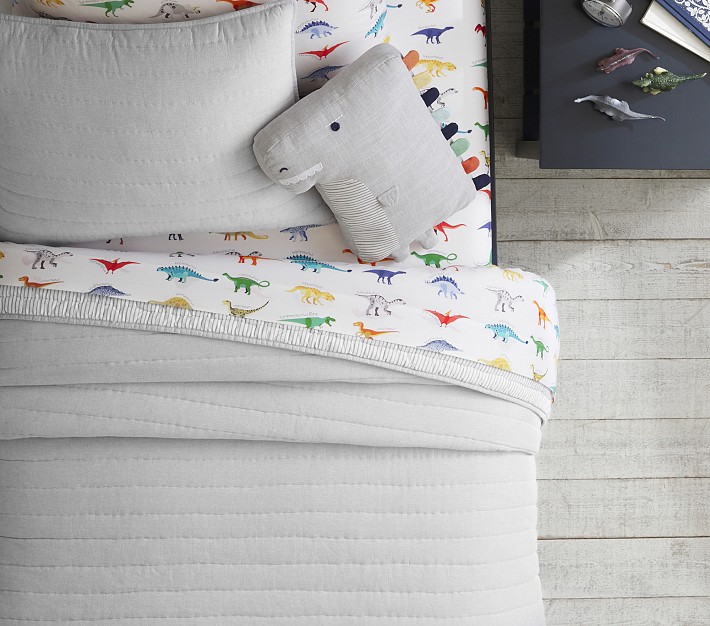 Pottery Barn Kids Organic Finn Dino Sheet Set Queen Multi