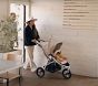 Video 1 for Bumbleride Indie All-Terrain Stroller