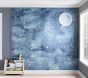 Night Sky Mural