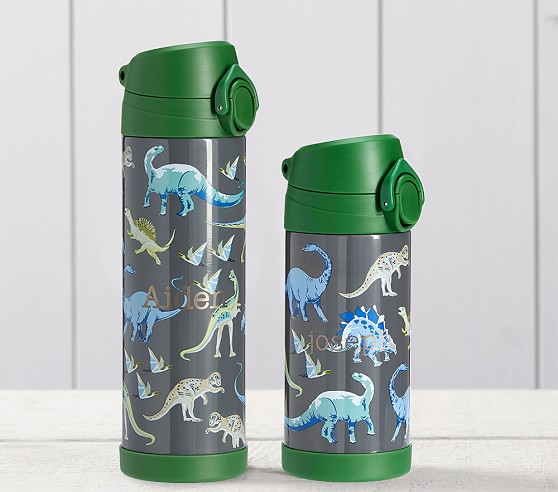 Green Gray Lost World Kids Water Bottle | Pottery Barn Kids