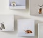 Baby Animals Framed Art - Set of 5