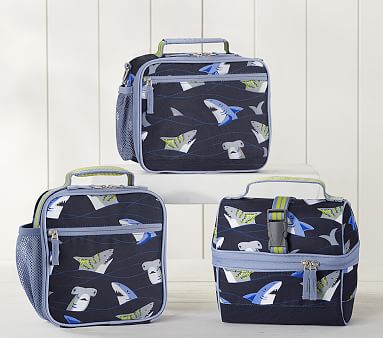 Tropical Sharks Kids Lunch Box Pottery Barn Kids