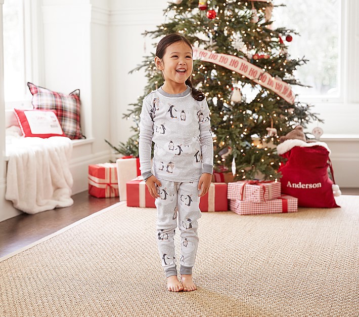 Winter Penguin Pajama Set