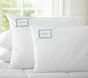 PBK Natural Down Blend Pillow Insert, Standard, 20 x 26&quot;