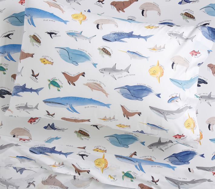 Pottery outlets Barn Kids Quilt and sheet set. TWIN Friendly Sharks amd Fish