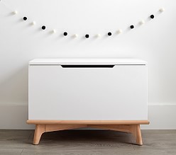 Sloan Toy Box