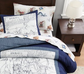 Pottery Barn Harry Potter outlet Queen Duvet PLUS SHAMS