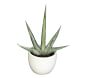 Southwest Succulent Collection Artificial Plant