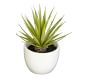 Southwest Succulent Collection Artificial Plant