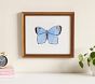 Jordan Connelly Soft Butterfly Framed Wall Art