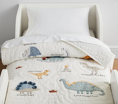 Pottery barn dinosaur quilt discount