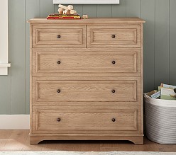 Fillmore 5-Drawer Drawer Chest (41w x 20d")