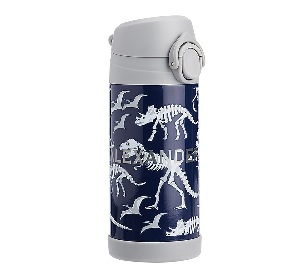 Blue/Gray Dino, Regular Mackenzie Water Bottle