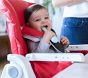 Inglesina Gusto High Chair