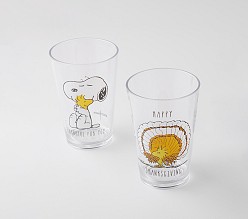 Peanuts® Snoopy® Thanksgiving Tumblers