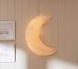 Paper Mache Light Up Moon