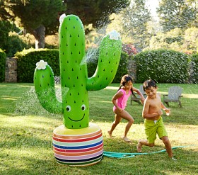 Inflatable Cactus Inflatable Cactus